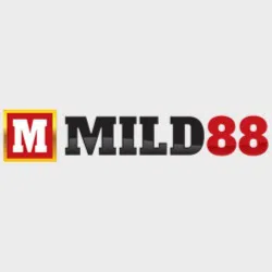 Payment Methods on Mild88