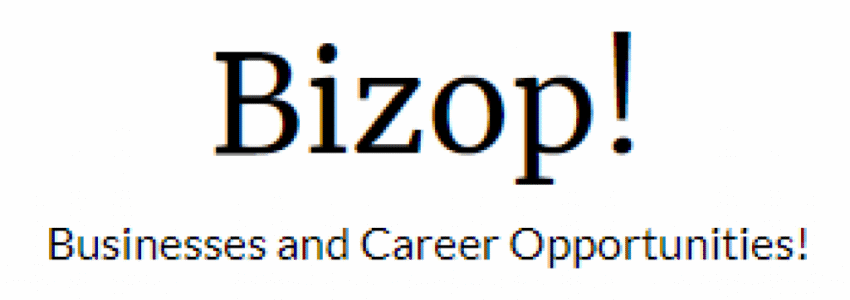 Exploring BizOp.org: A Gateway to Modern Business Opportunities